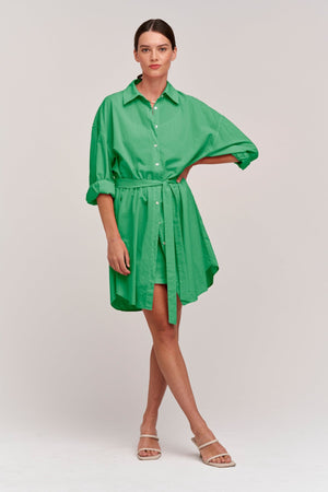 ADDISON SHIRT DRESS - Velvet Staging 2.0