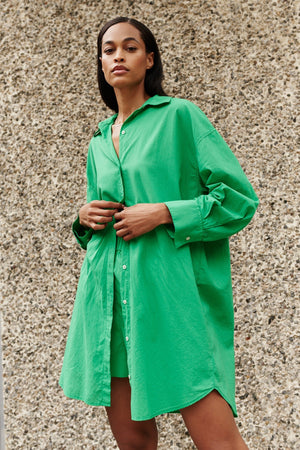 ADDISON SHIRT DRESS - Velvet Staging 2.0