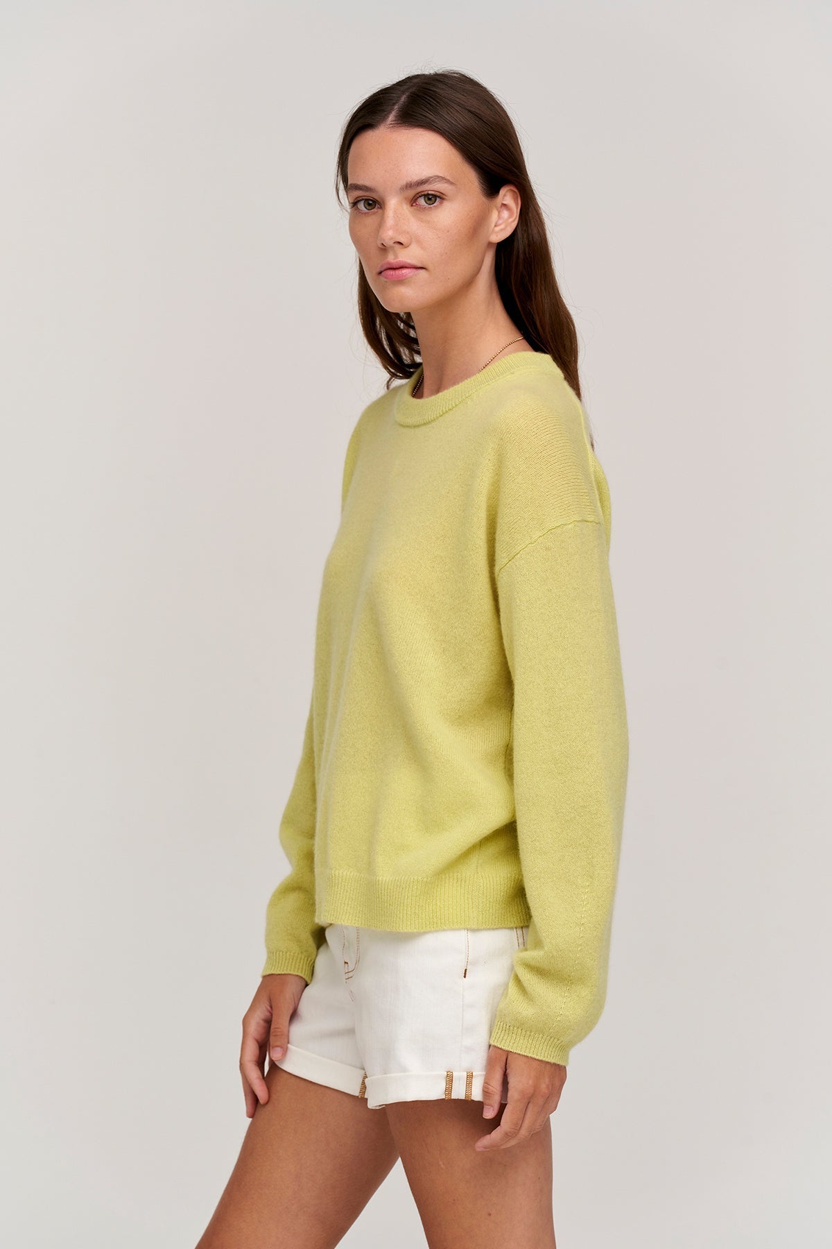BRYNNE CASHMERE CREW NECK SWEATER - Velvet Staging 2.0