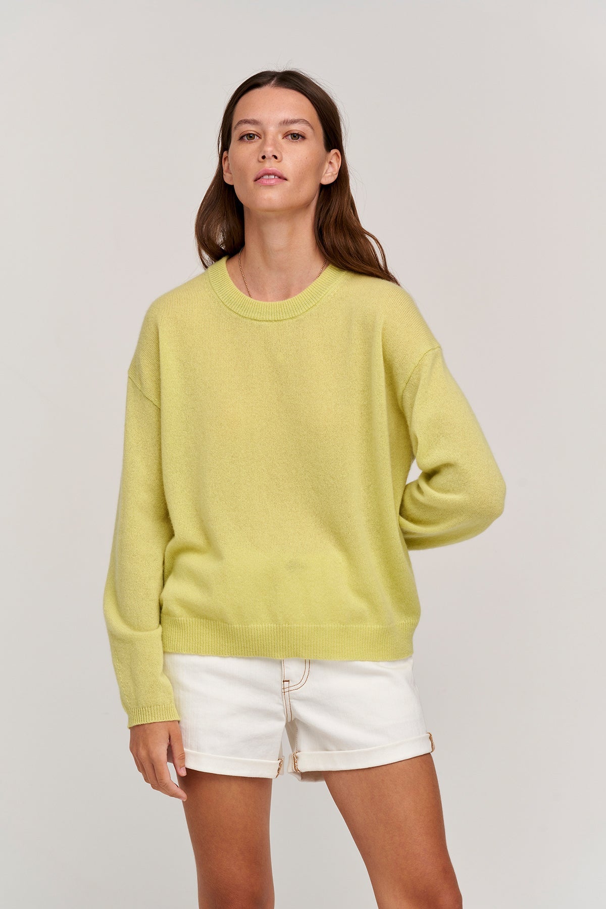 BRYNNE CASHMERE CREW NECK SWEATER - Velvet Staging 2.0-26916079829188