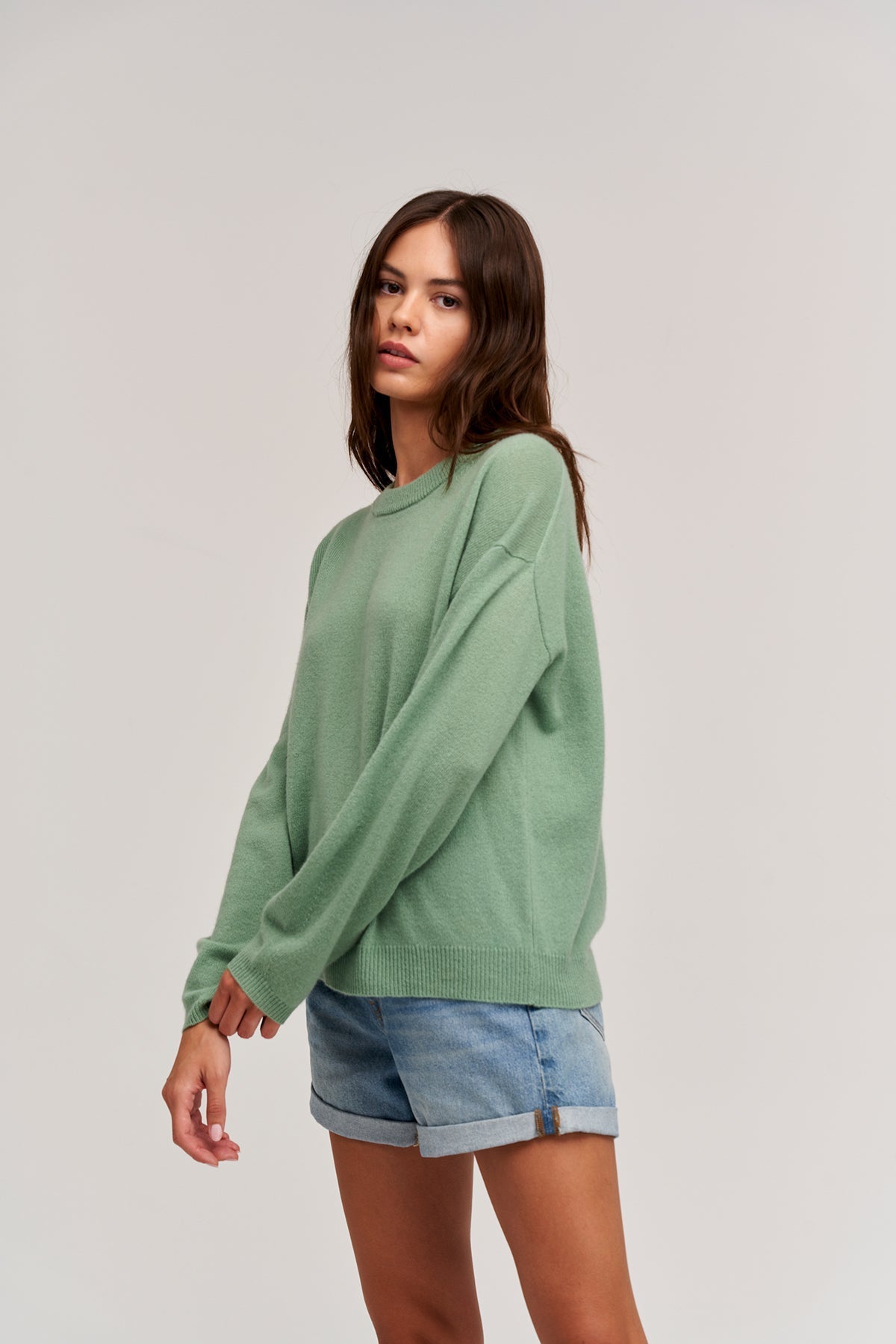 BRYNNE CASHMERE CREW NECK SWEATER - Velvet Staging 2.0