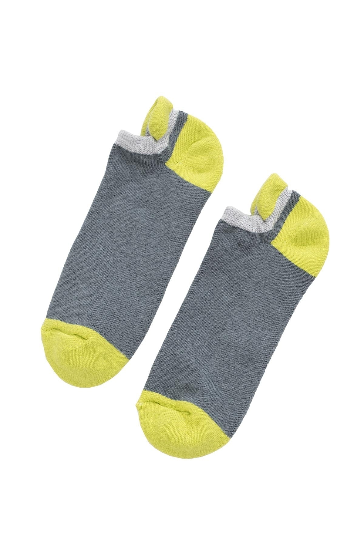 CUSHIONED NO SHOW SOCK BY LITTLE RIVER SOCK MILL - Velvet Staging 2.0-26916107124932