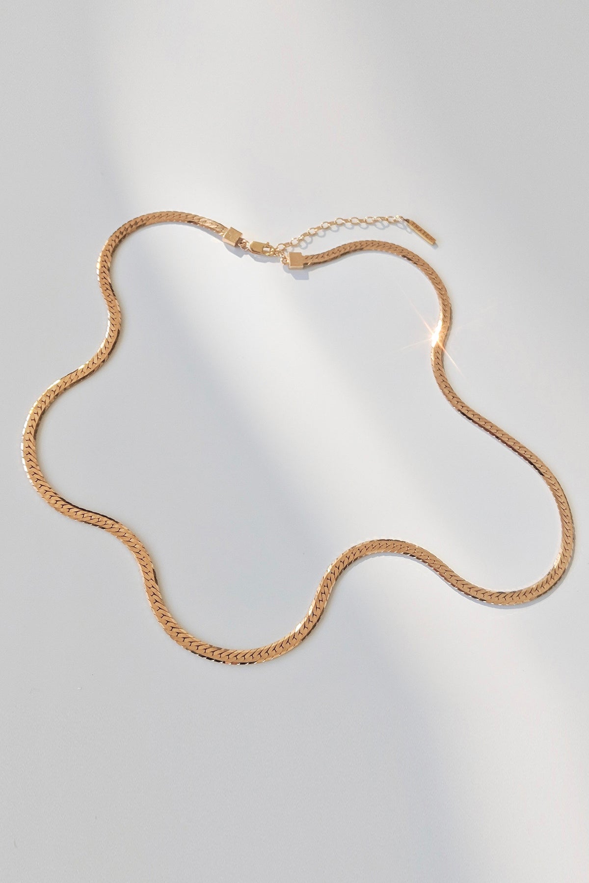 DANI GOLD HERRINGBONE CHAIN BY THATCH - Velvet Staging 2.0