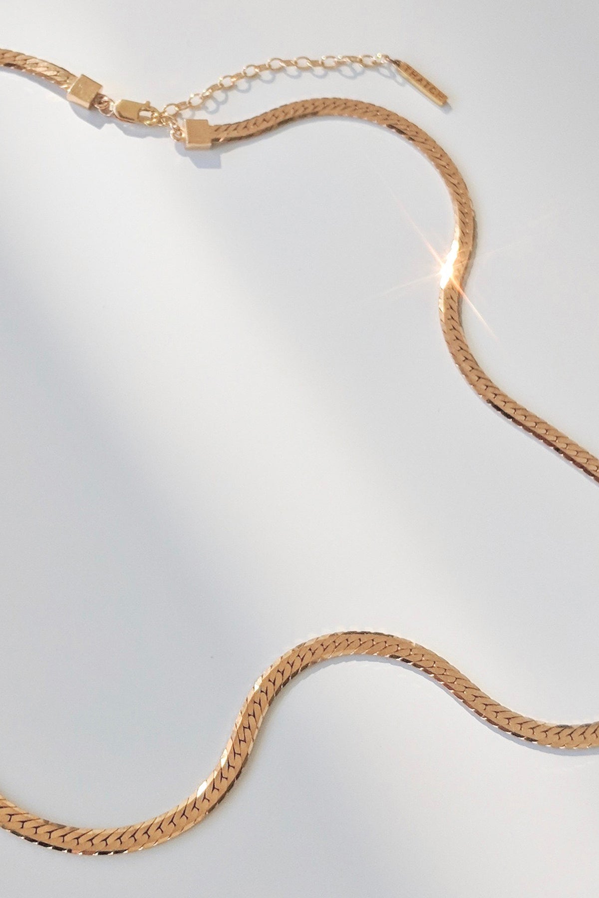 DANI GOLD HERRINGBONE CHAIN BY THATCH - Velvet Staging 2.0
