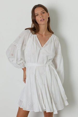 GRACIE COTTON EYELET DRESS - Velvet Staging 2.0