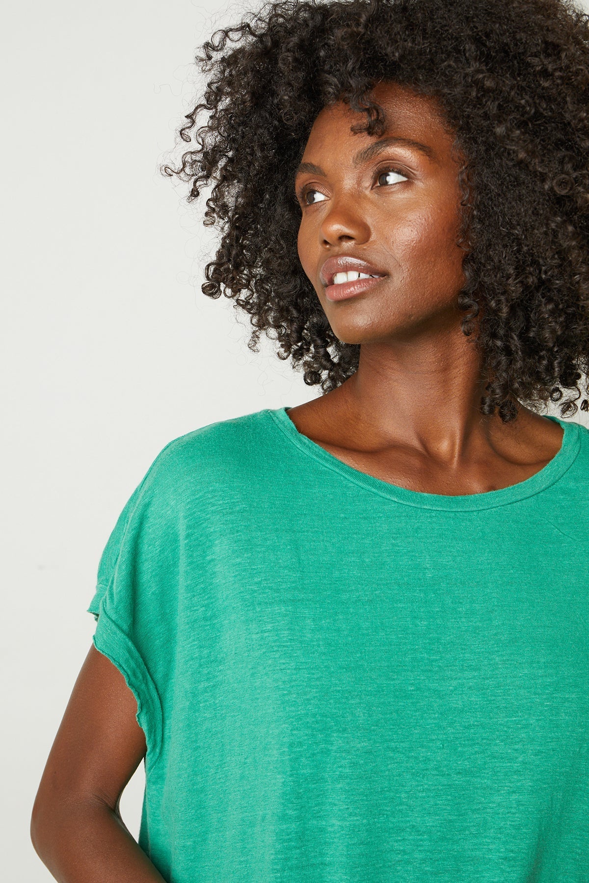 HUDSON CREW NECK TEE - Velvet Staging 2.0-26916170301636