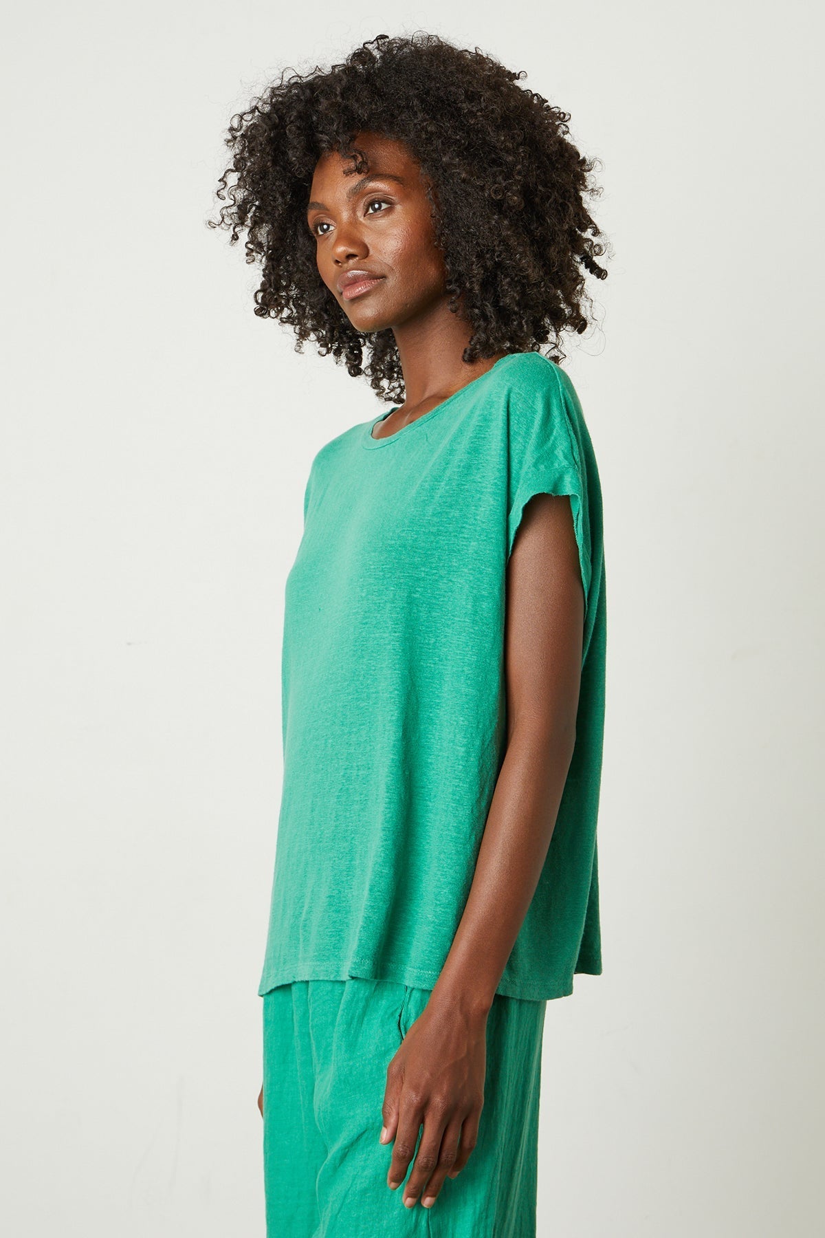 HUDSON CREW NECK TEE - Velvet Staging 2.0