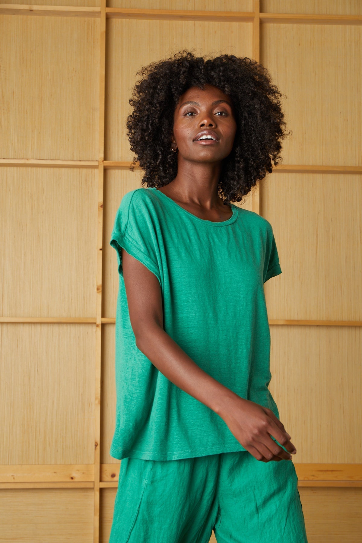 HUDSON CREW NECK TEE - Velvet Staging 2.0-26916170432708