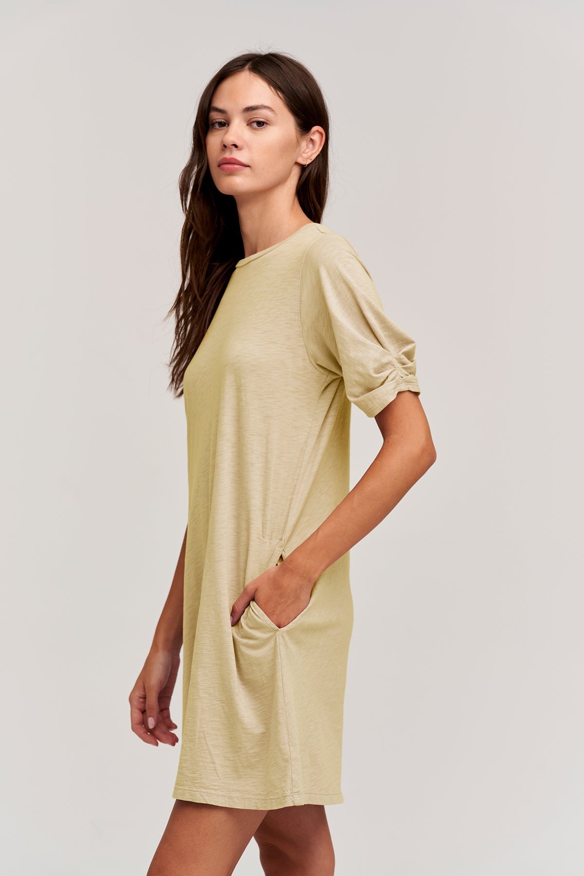 KESHA PUFF SLEEVE DRESS - Velvet Staging 2.0