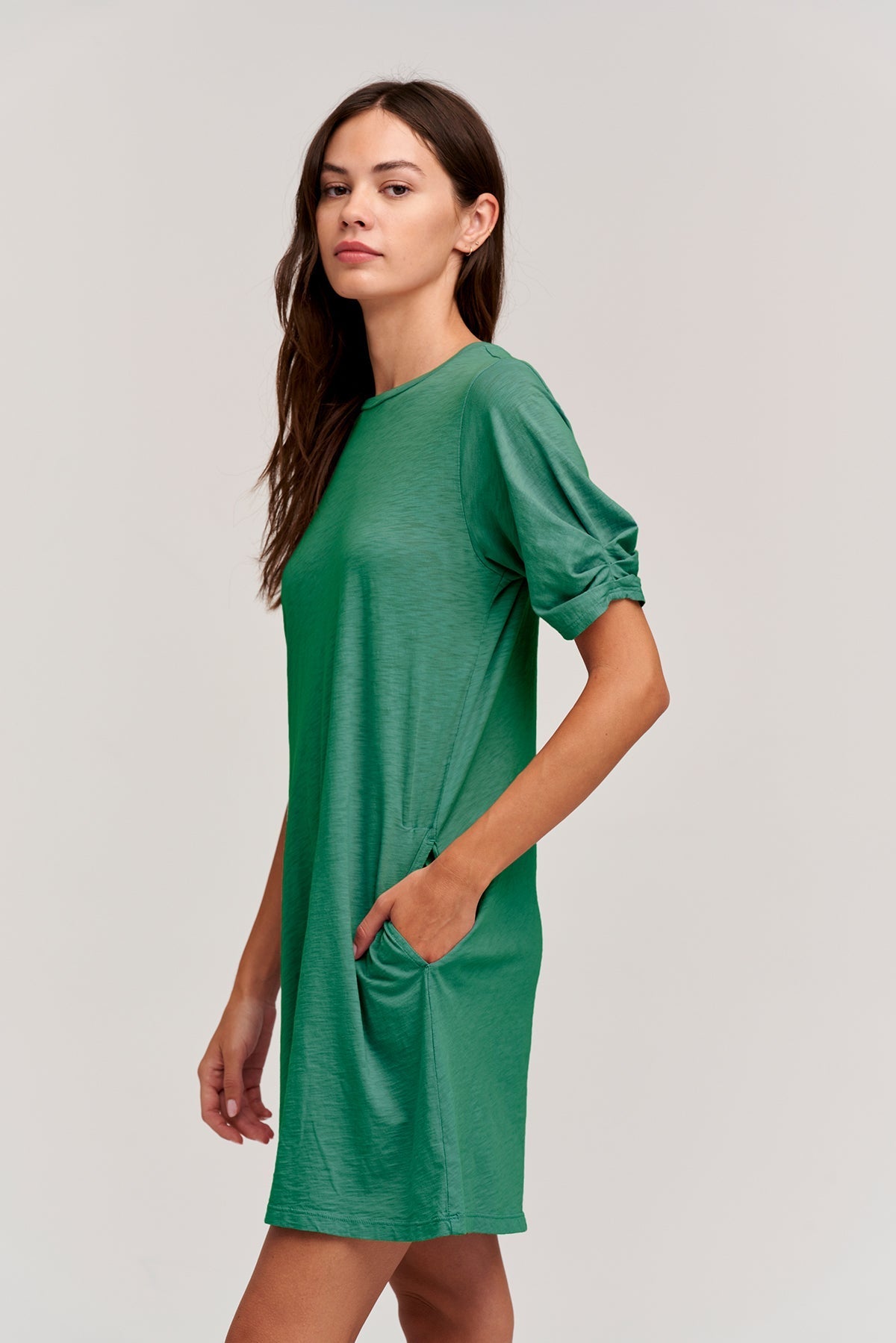 KESHA PUFF SLEEVE DRESS - Velvet Staging 2.0-26916208771268