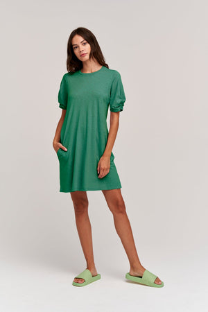 KESHA PUFF SLEEVE DRESS - Velvet Staging 2.0