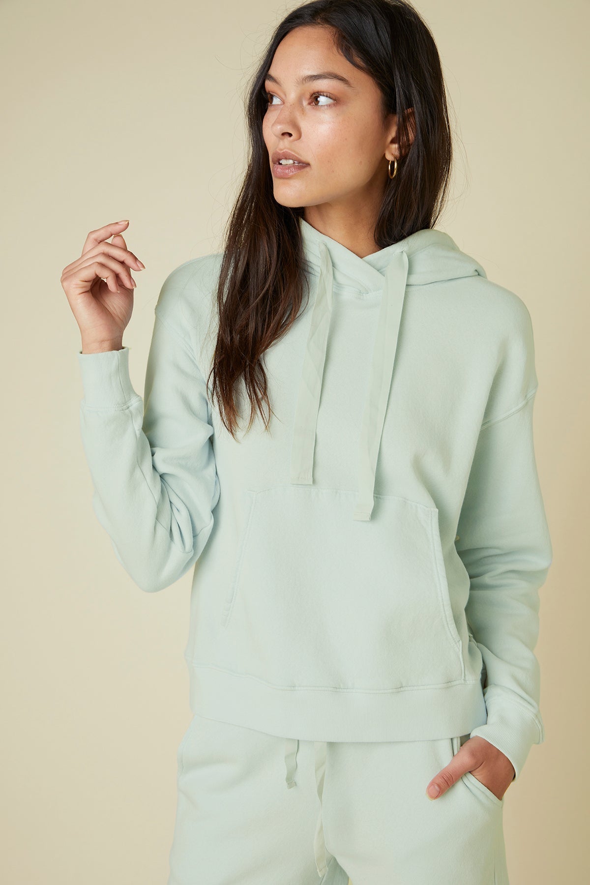 OJAI HOODIE - Velvet Staging 2.0