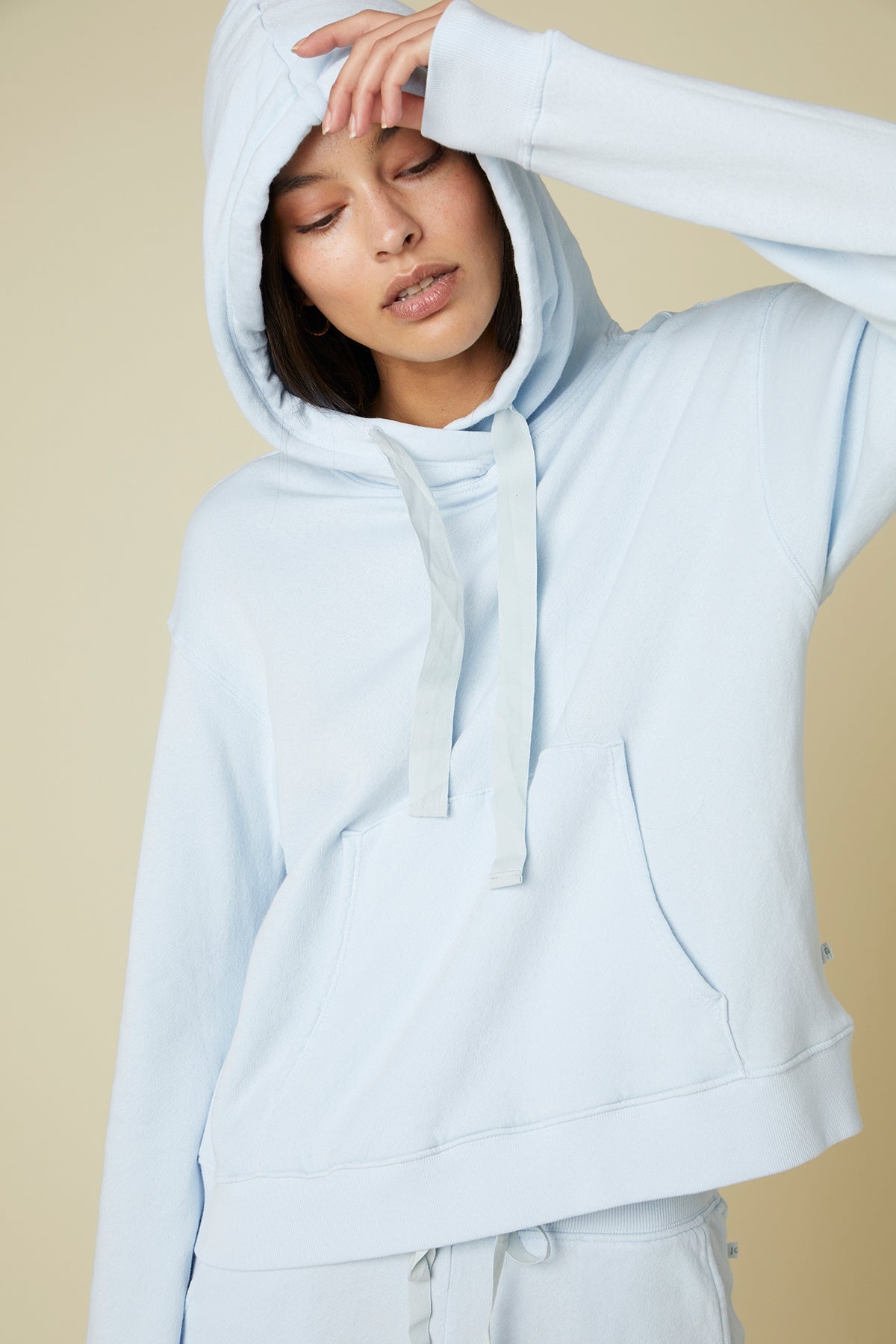 OJAI HOODIE - Velvet Staging 2.0