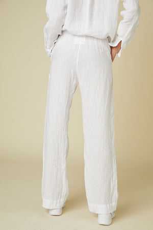 PICO PANT - Velvet Staging 2.0