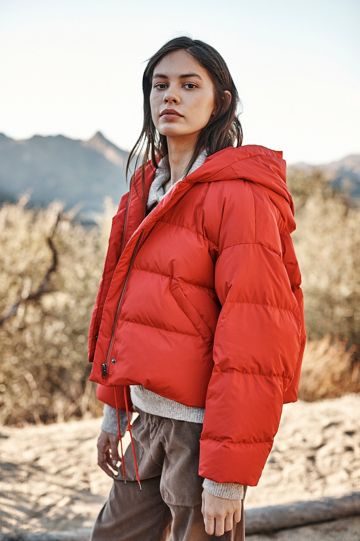 RAYLIN CROPPED PUFFER JACKET - Velvet Staging 2.0-26916312088772