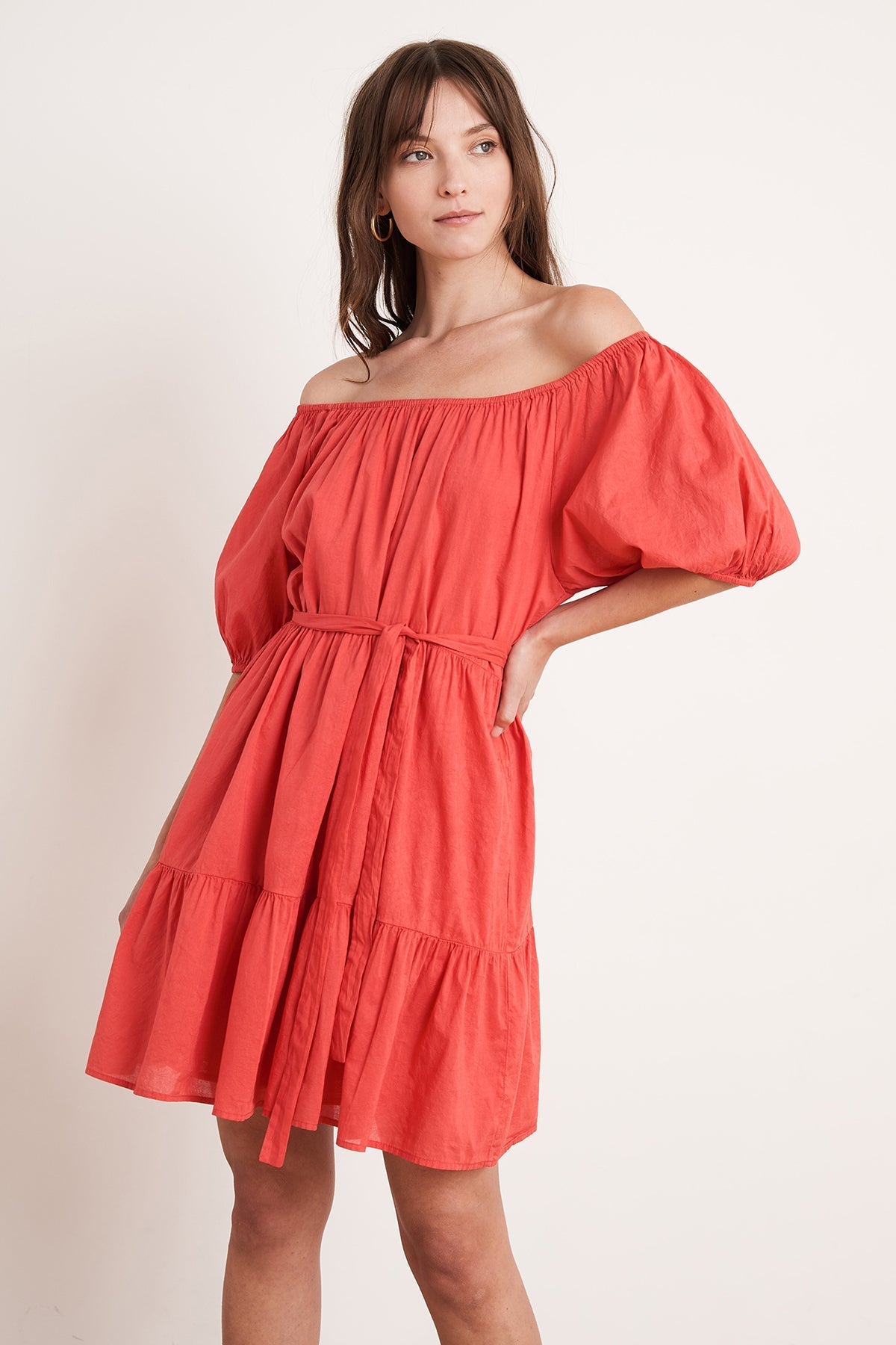 RENELLE PUFF SLEEVE DRESS - Velvet Staging 2.0