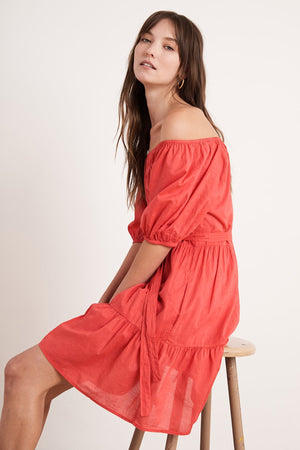 RENELLE PUFF SLEEVE DRESS - Velvet Staging 2.0