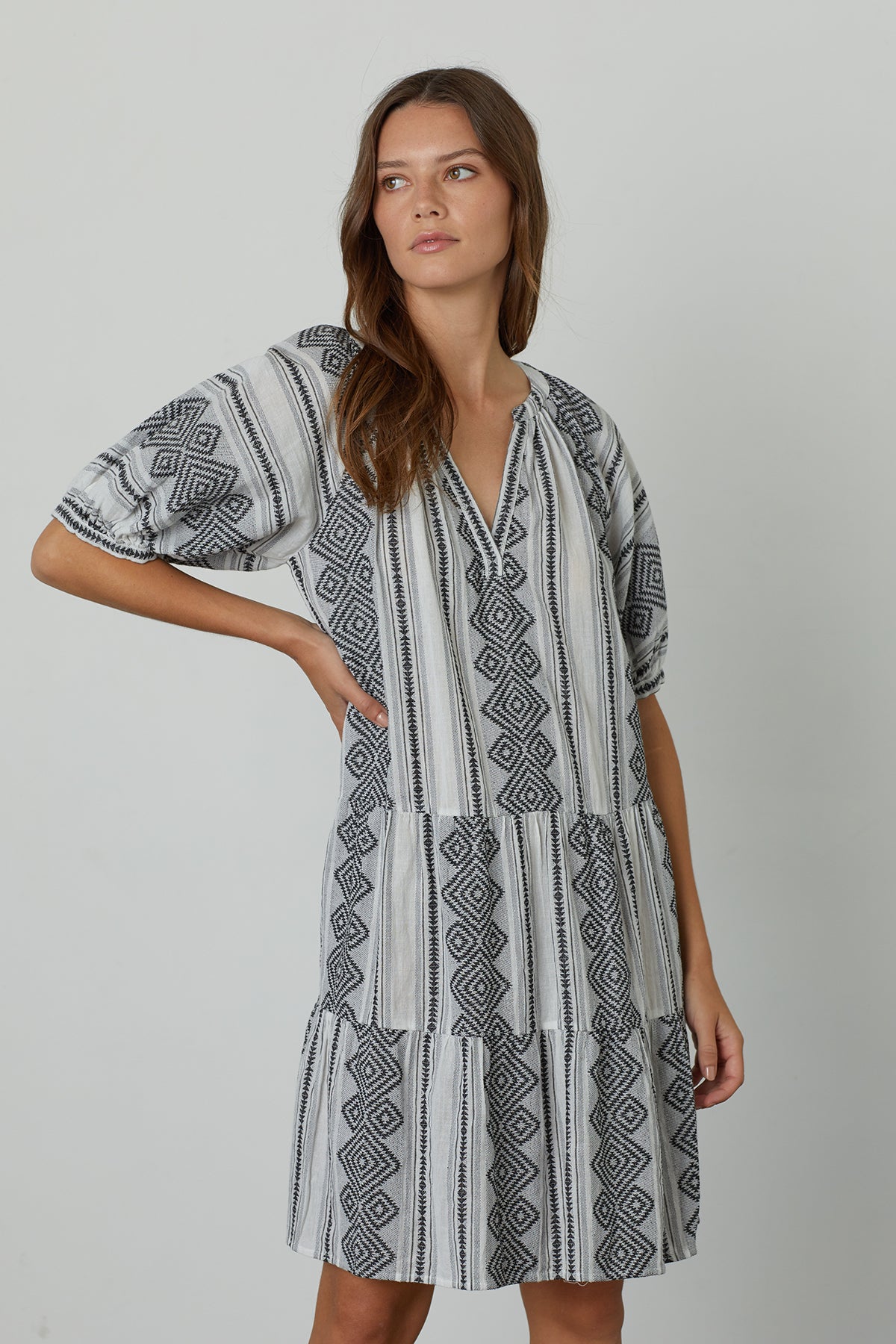 SOPHIE PUFF SLEEVE JACQUARD DRESS - Velvet Staging 2.0